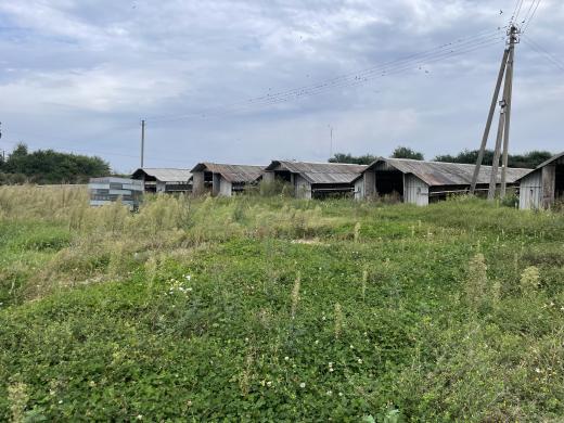 Žemės sklypas 4,96 ha su statiniais, adresu Kelmės raj. sav., Tytuvėnų sen., Paulišių k. 1.-1