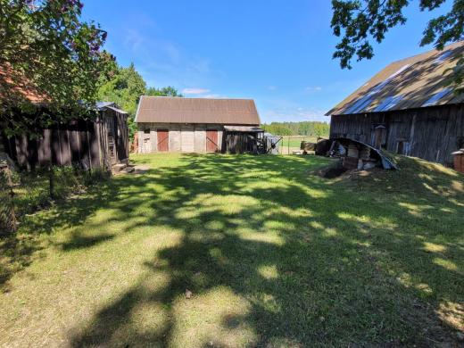 PARDUODAMA SODYBA SU DIDELIU SKLYPU IR ŪKINIAIS PASTATAIS KYBARTUOSE!-3