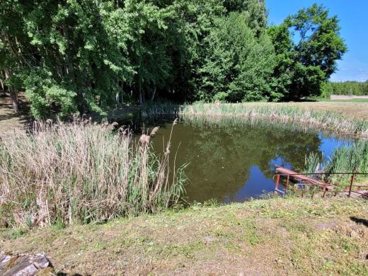 PARDUODAMA SODYBA SU DIDELIU SKLYPU IR ŪKINIAIS PASTATAIS KYBARTUOSE!-5