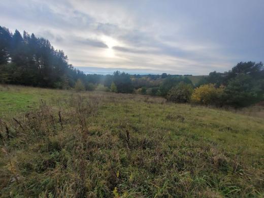 Parduodamas 1,808 ha žemės ūkio paskirties sklypas Varėnos r., Kucakiemio k., prie Sidariškių ežero.-2