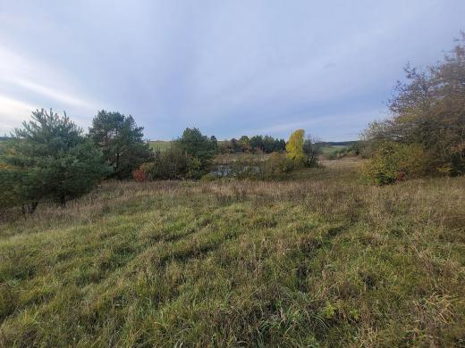 Parduodamas 1,808 ha žemės ūkio paskirties sklypas Varėnos r., Kucakiemio k., prie Sidariškių ežero.-3