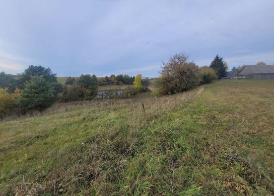 Parduodamas 1,808 ha žemės ūkio paskirties sklypas Varėnos r., Kucakiemio k., prie Sidariškių ežero.-4