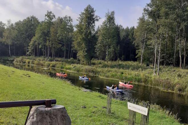 Baidarių, kubilų nuoma Žemaitijoje +37065436962-0