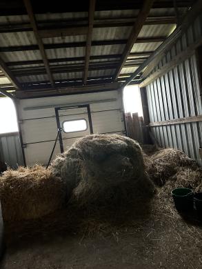 Mūrinis Namas 104,42m² Su Žemės Sklypu 25,13a. Ūkiniais Pastatais-6