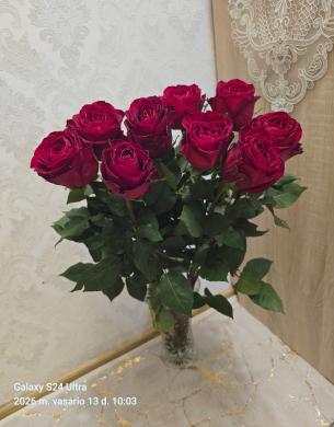 MALONŪS LAISVALAIKIO PRALEIDIMAI,,,-1