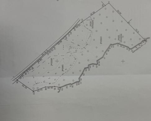 PARDUODAMAS 4,0996 HA SKLYPAS MARGARAVOS K., ALYTAUS R. – ŠALIA NEMUNO IR PUNIOS ŠILO!-1