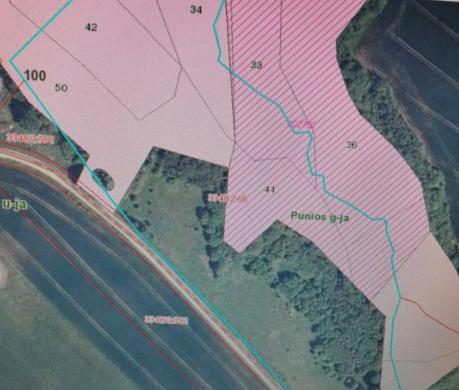 PARDUODAMAS 4,0996 HA SKLYPAS MARGARAVOS K., ALYTAUS R. – ŠALIA NEMUNO IR PUNIOS ŠILO!-2