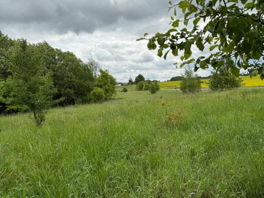 PARDUODAMAS 4,0996 HA SKLYPAS MARGARAVOS K., ALYTAUS R. – ŠALIA NEMUNO IR PUNIOS ŠILO!-6