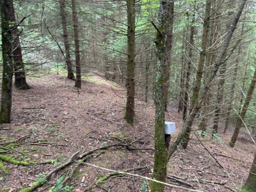 PARDUODAMAS 4,0996 HA SKLYPAS MARGARAVOS K., ALYTAUS R. – ŠALIA NEMUNO IR PUNIOS ŠILO!-4