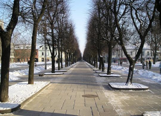 Išnuomojamas 1 kambarys pačiame centre (Kaunas)-4