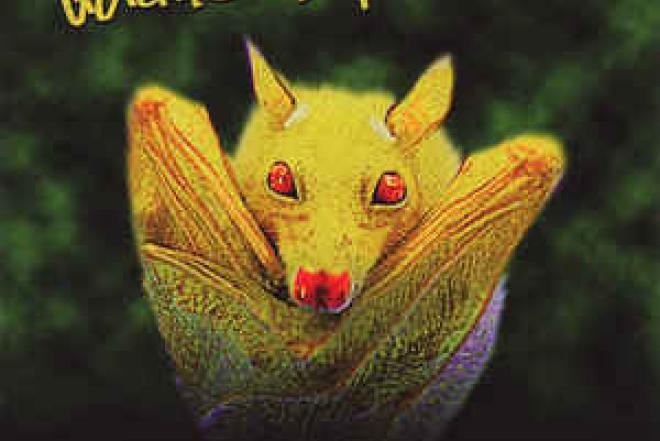 CD dėžutės internetu-0