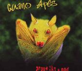 CD dėžutės internetu-0