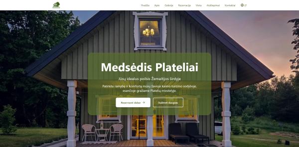 Profesionalios svetainės ir individualūs IT sprendimai-7