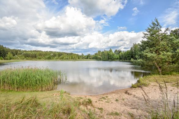 Mūrinis sodo namas Kaubariškio k.-7