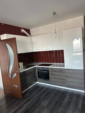 Išnuomojamas naujame name 2-jų kamb.butas Dragūnų kvartale-0