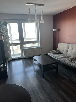 Išnuomojamas naujame name 2-jų kamb.butas Dragūnų kvartale-1