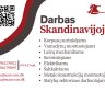 Projektas Norvegijoje Kranų operatoriui (Bokštinio ir portalinio krano)-0