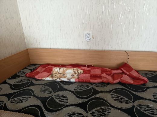 Naudoti baldai už 50 € (Klaipėda , prie Bigo)) – pirkėjas išsiveža pats-6