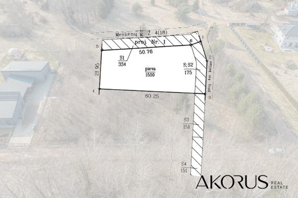 Akorus.lt – lygūs, tvarkingi sklypai su mišku-3