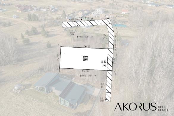 Akorus.lt – lygūs, tvarkingi sklypai su mišku-2