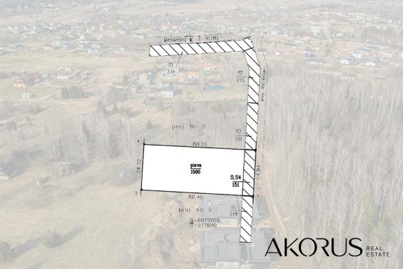 Akorus.lt – lygūs, tvarkingi sklypai su mišku-4