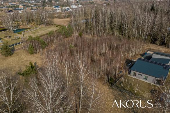 Akorus.lt – lygūs, tvarkingi sklypai su mišku-6