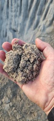 Plautas smelis 0-2 mm vejai, smelis vaiku dezems-1