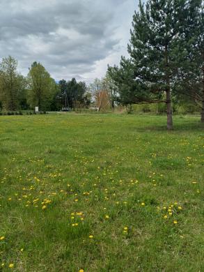 Namų valdos paskirties sklypas Vilniaus r. sav., Tekliūnų k., Plačioji g.-1
