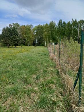 Namų valdos paskirties sklypas Vilniaus r. sav., Tekliūnų k., Plačioji g.-7