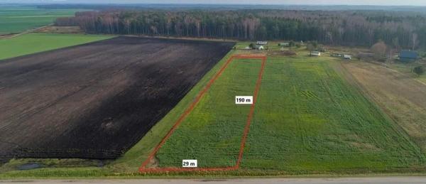 Parduodu Svencelėje du sklypus. Bendras plotas 54a.-2