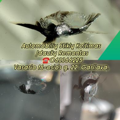 Automobilių Stiklų Įdaužų Remontas-5