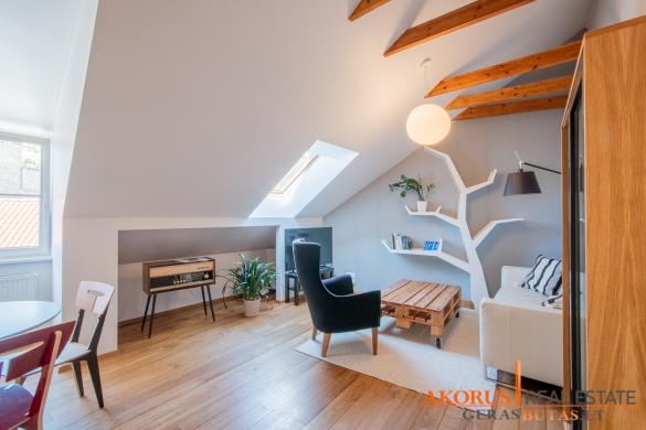 gerasbutas.lt - butas prie Katedros-3