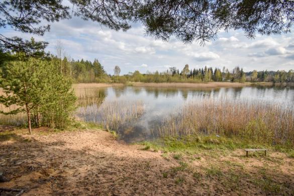 Sodo namas Kaubariškio k.-6