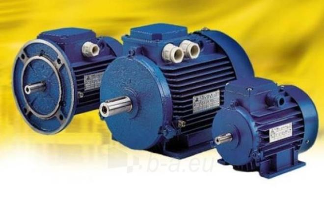 Elektros varikliu remontas Radviliškis-0