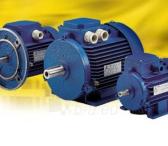 Elektros varikliu remontas Radviliškis-0