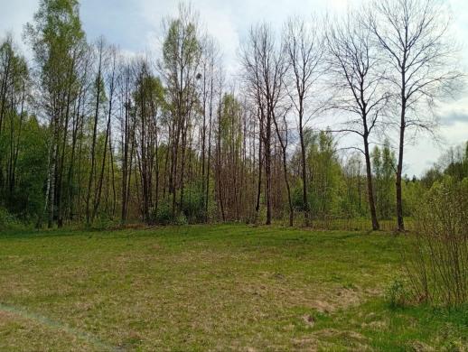 Sklypas prie Merkio upės (ribojasi) Varėnos r.-5