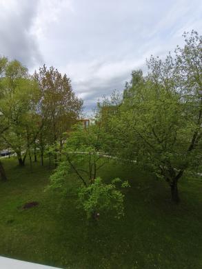 Išnuomojamas 12 kv.m. kambarys bendrabutyje. Taikos pr. 34 Renovuotas namas, laiptinė-7