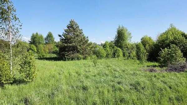 Parduodu sklypa.-3