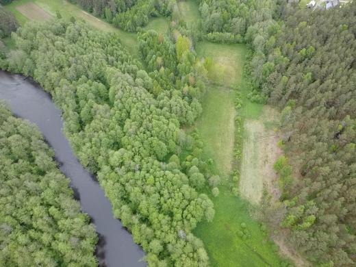 Sklypas prie Merkio upės (ribojasi) Varėnos r.-6