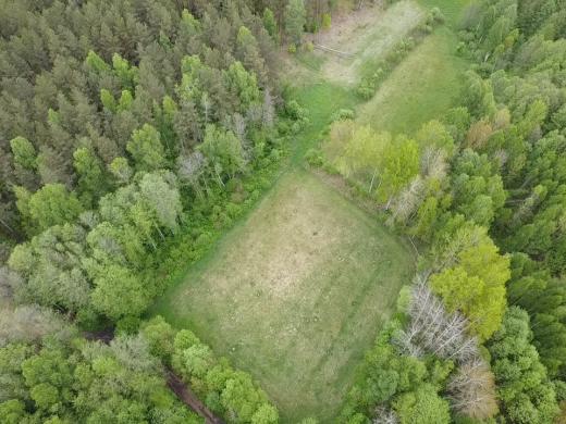 Sklypas prie Merkio upės (ribojasi) Varėnos r.-7