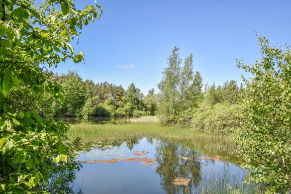 Sodyba 8,5 ha sklype šalia vandens telkinio-5