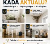 Pelėsio sporų šalinimas ore | HEPA + UV + Ozonas-0