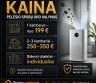 Pelėsio sporų šalinimas ore | HEPA + UV + Ozonas-0