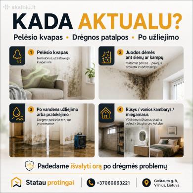 Pelėsio sporų šalinimas ore | HEPA + UV + Ozonas-1