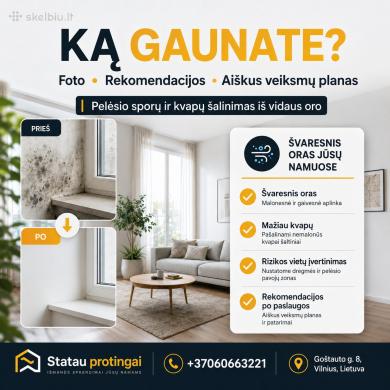 Pelėsio sporų šalinimas ore | HEPA + UV + Ozonas-1