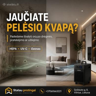 Pelėsio sporų šalinimas ore | HEPA + UV + Ozonas-2