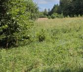 Išskirtinė  sodyba, . Vienkemis. Apsodinta ąžuolais, beržais, spygliuočiais.-0