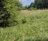 Išskirtinė  sodyba, . Vienkemis. Apsodinta ąžuolais, beržais, spygliuočiais.-0