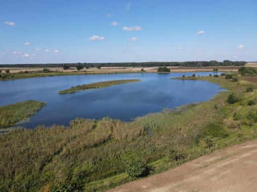 Parduodamas linvesticinis 11,0274 ha žemės sklypas prie Šiaulių jūros-4