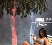 Vandens burbulų palmė, JAV, nauja-0